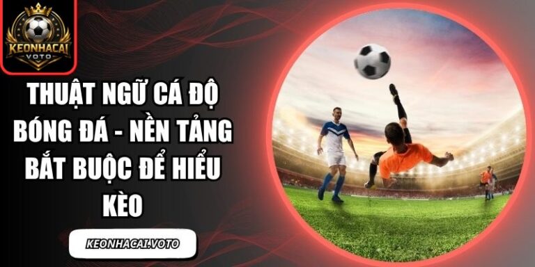 Thuật Ngữ Cá Độ Bóng Đá - Nền Tảng Bắt Buộc Để Hiểu Kèo 5 Thuật ngữ cá độ bóng đá